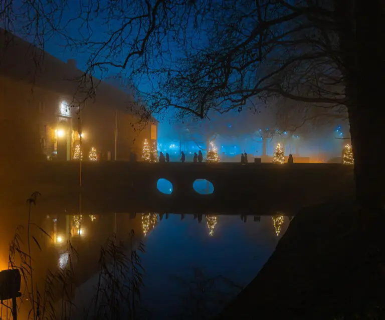 dickens shows vernap2